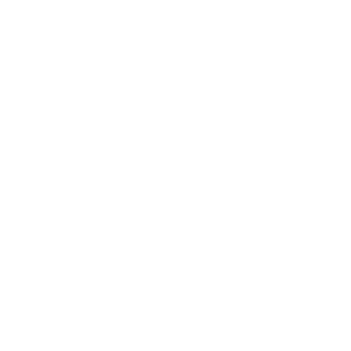 logo_incisori_fiorentini_tipografia_firenze